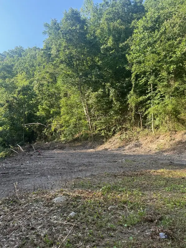 599 Pearl Hill Dr, Delbarton, WV 25670