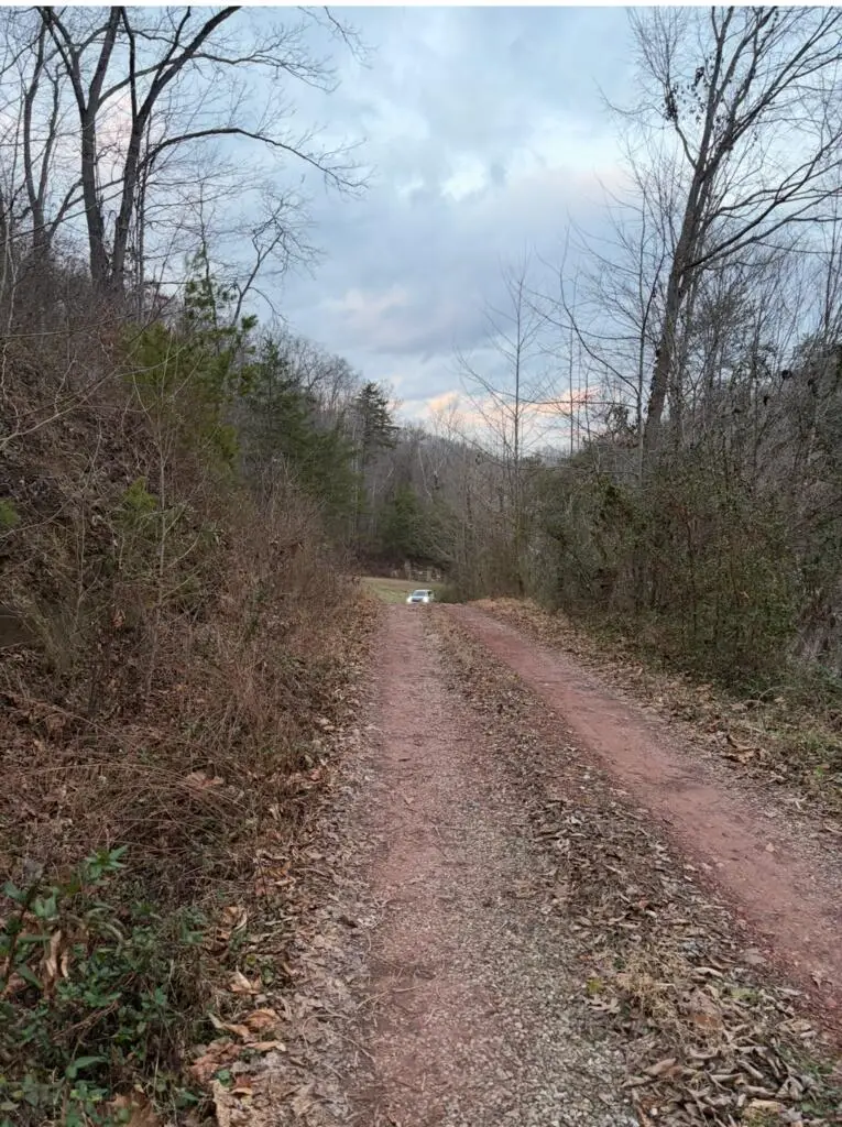 5109 Ky. Rt. 321, Hagerhill, KY 41222 - #2