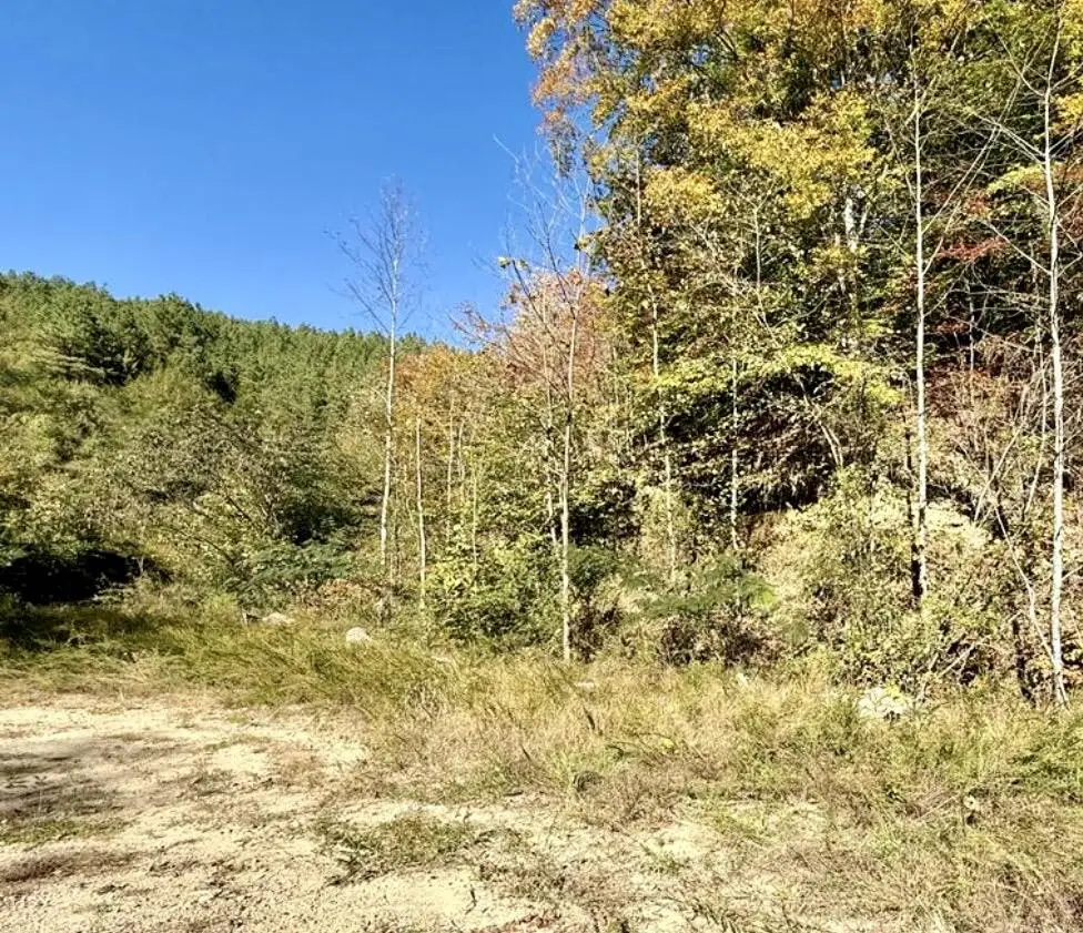 0 Kidd Fork, Banner, KY 41603 - #1