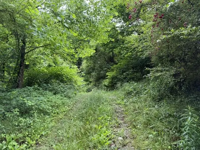 3238 Big Willard Rd, Busy, KY 41723 - #2