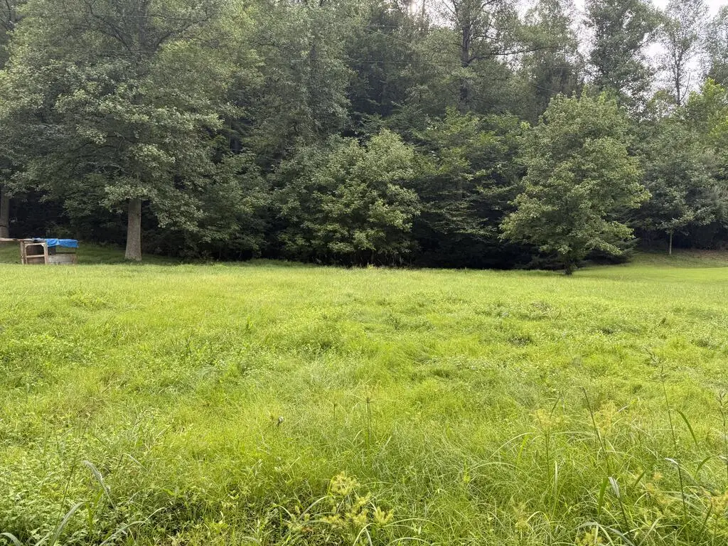 275,303 Brown Branch, Sitka, KY 41255 - #1