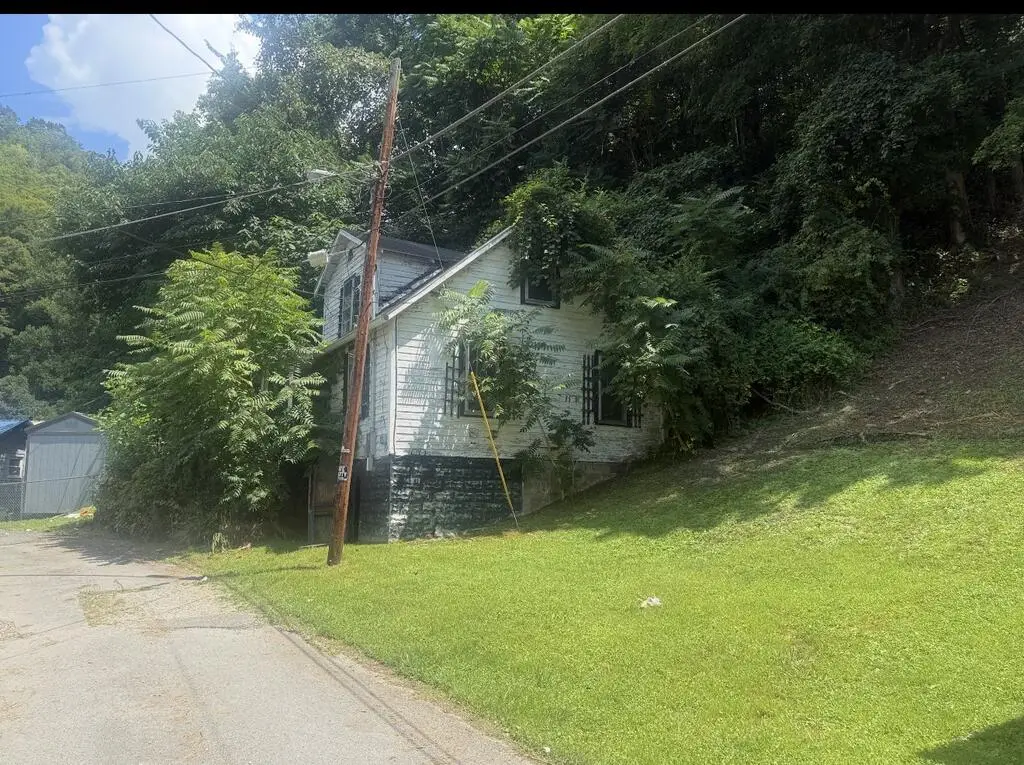 9 Helena Avenue, Matewan, WV 25678 - #1