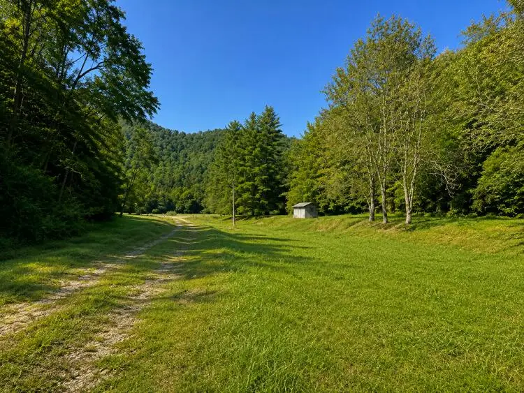 15100 Lower Johns Creek, Pikeville, KY 41501 - #2