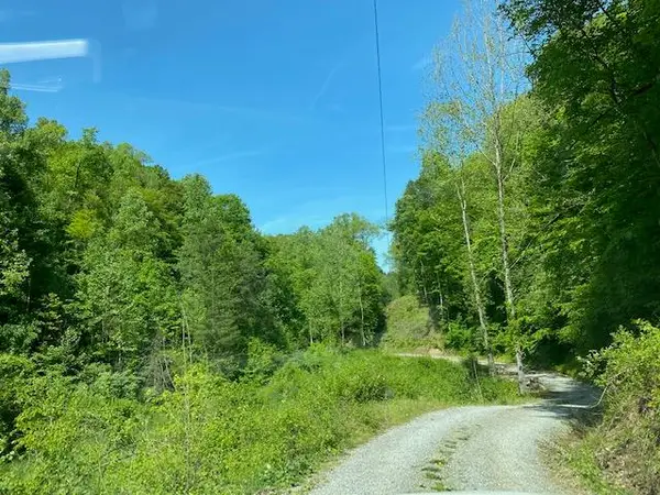 0 Alley Fork Rd, Prestonsburg, KY 41653