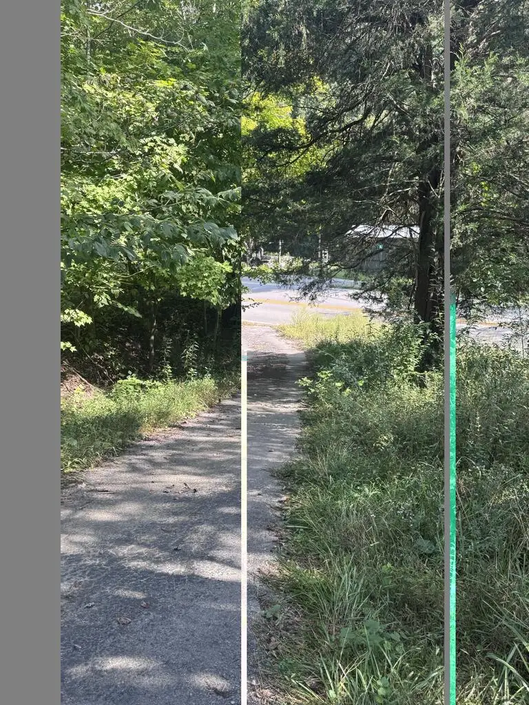 KY 40 Route 40, Staffordsville, KY 41256 - #3