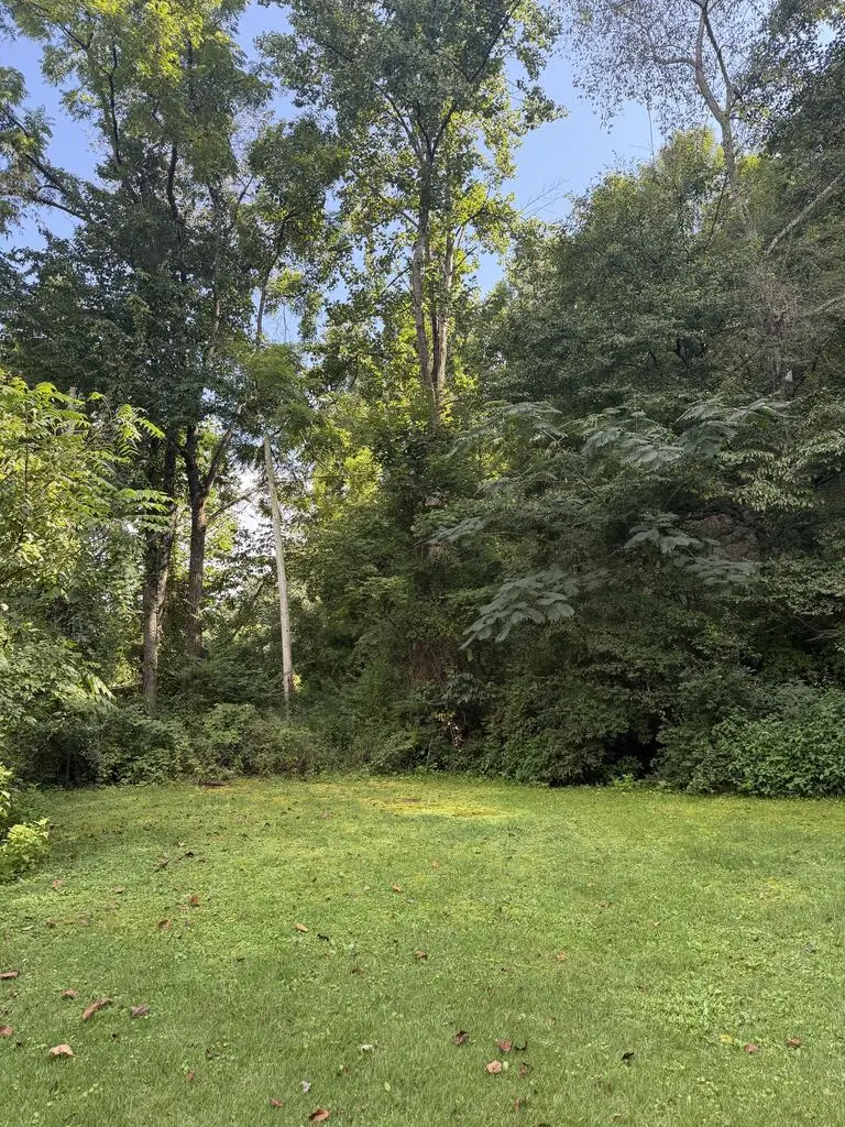 19 Kelly Miller Diller, Delbarton, WV 25670 - #2