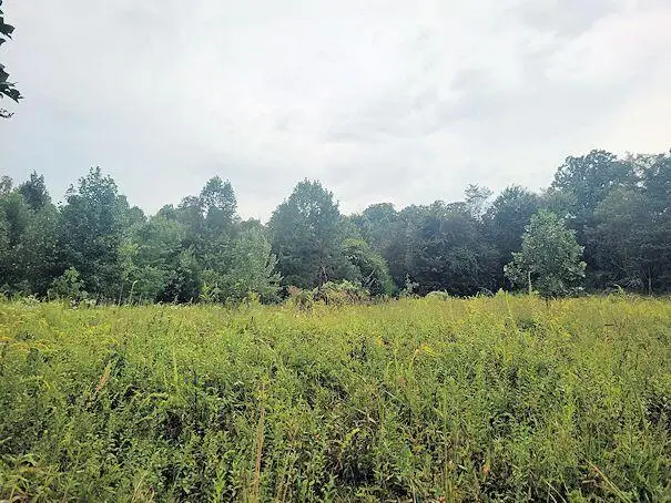 1044 Brushy Ridge Rd, McKee, KY 40447 - #1