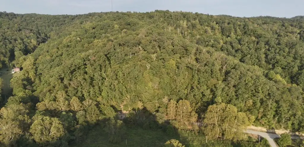 0 North Hwy 201, Webbville, KY 41180 - #1