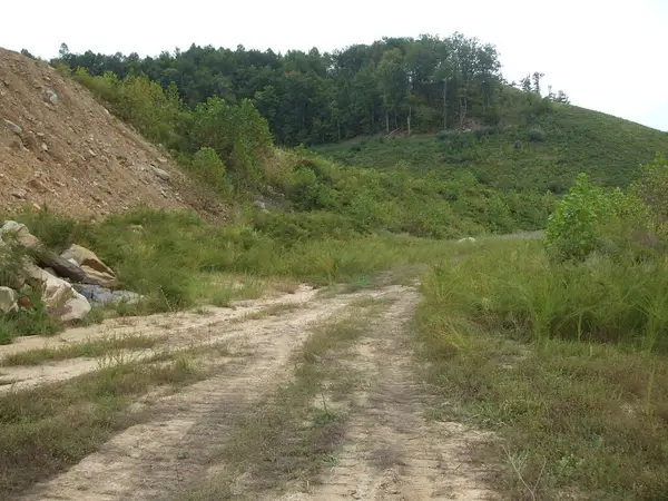 0 Trace Fork (db 229, Dp 267), Gunlock, KY 41632