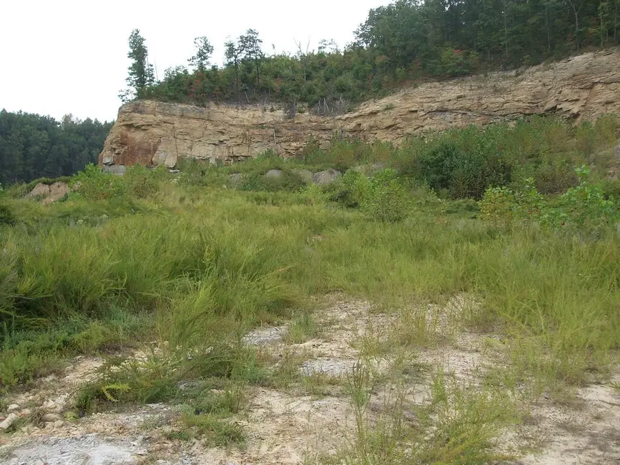 0 Trace Fork (db 229, Dp 267), Royalton, KY 41632 - #2
