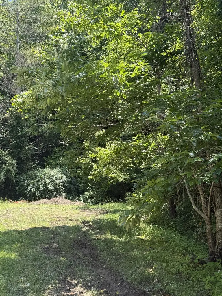 00 Middle Branch, McDowell, KY 41647 - #3