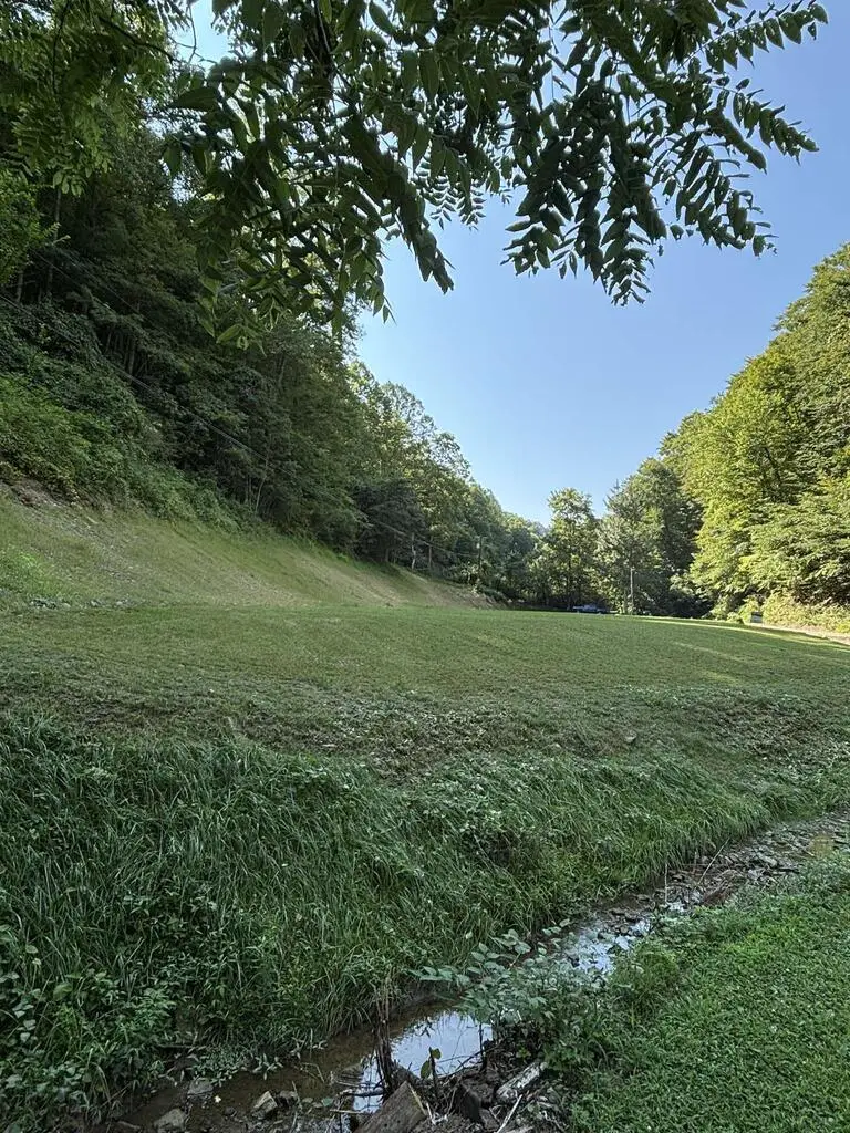 000 Sugar Camp Road, Robinson Creek, KY 41560 - #3