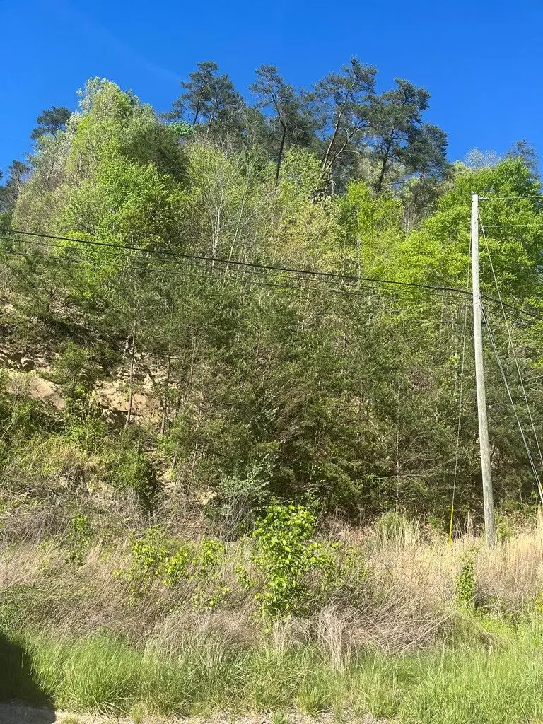 RT. 302 Ky Route 302, West Van Lear, KY 41268 - #2