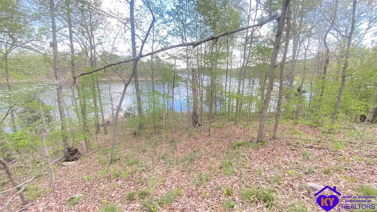 370 Cave Heights Drive, Falls Of Rough, KY 40119 - #1