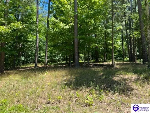 309 Marina Point Lane, Falls Of Rough, KY 40119 - #1