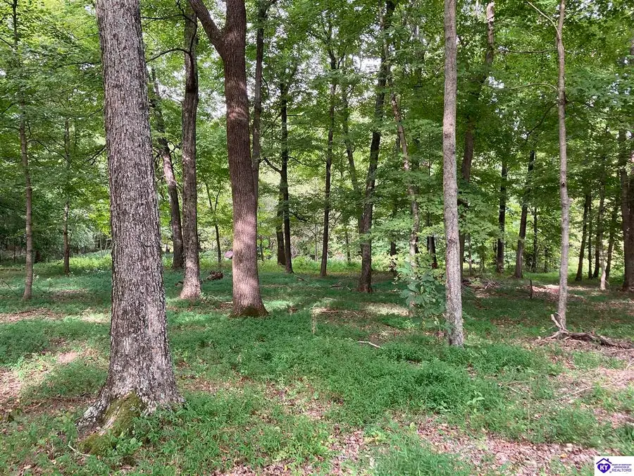1647 Boone Hollow Road, Battletown, KY 40104 - #2