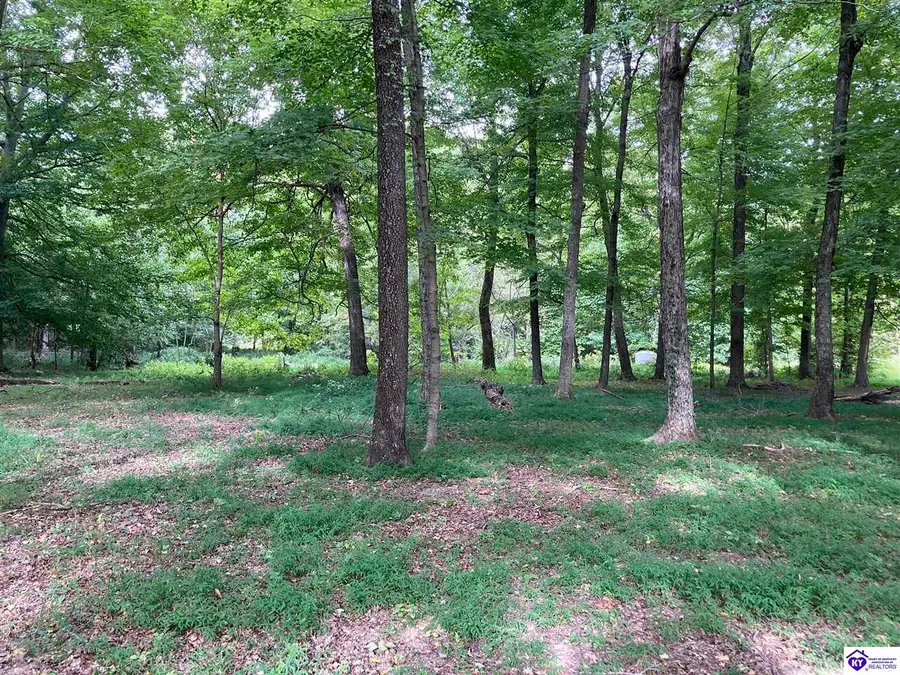 1647 Boone Hollow Road, Battletown, KY 40104 - #3