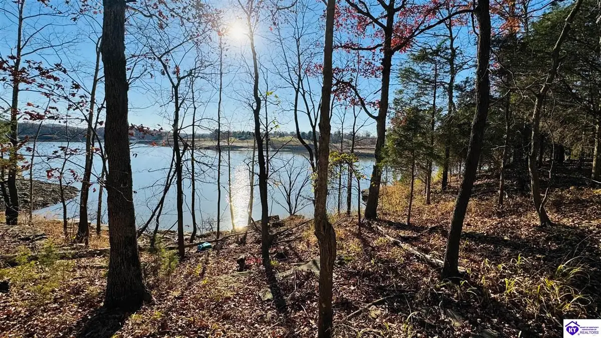 377 Cave Heights Drive, Falls Of Rough, KY 40119 - #1