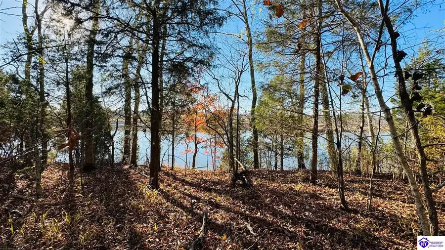 377 Cave Heights Drive, Falls Of Rough, KY 40119 - #2