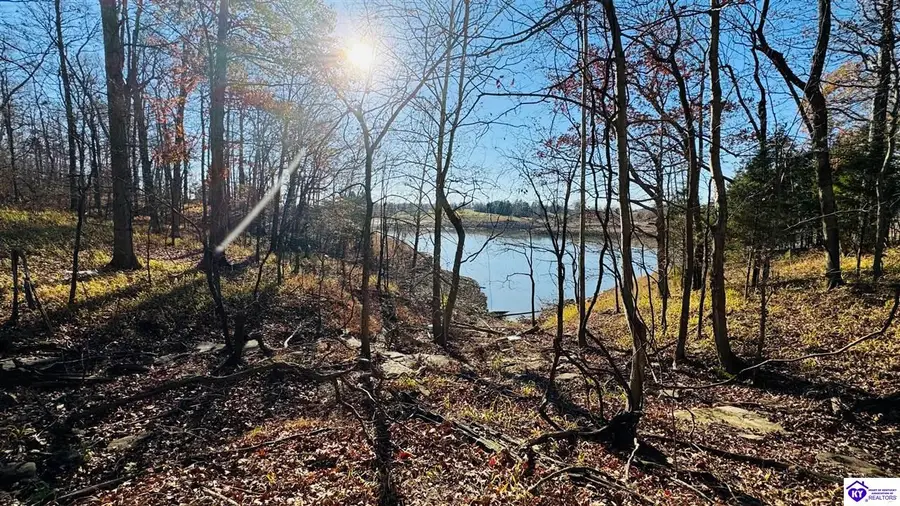 377 Cave Heights Drive, Falls Of Rough, KY 40119 - #3
