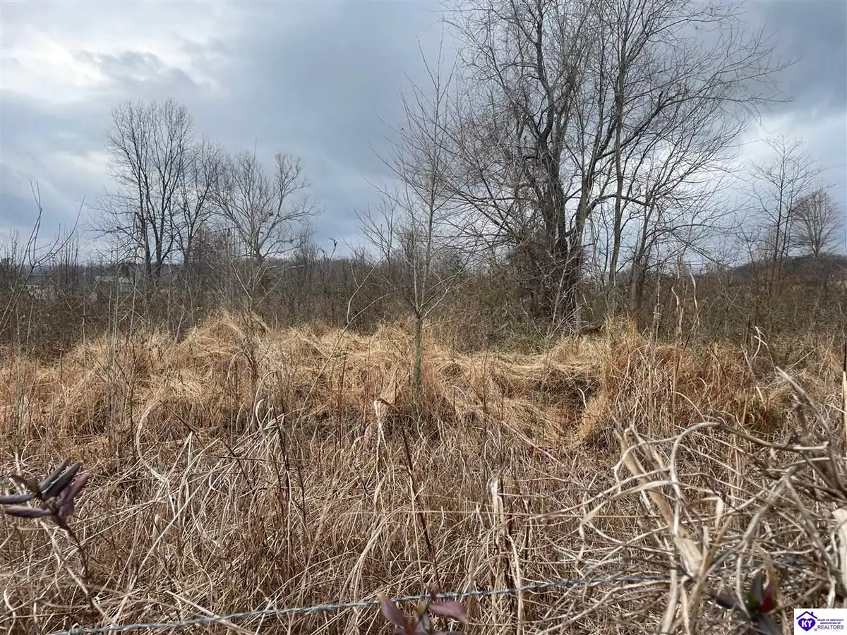 tract 3 May Irby Lane, Cloverport, KY 40111 - #1