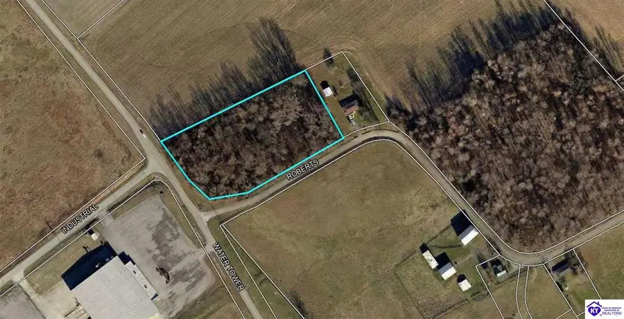 3.39 Roberts Road, Campbellsville, KY 42718 - #3