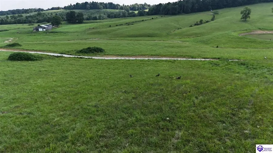 Tract 7 Troutman Lane, Clarkson, KY 42726 - #3