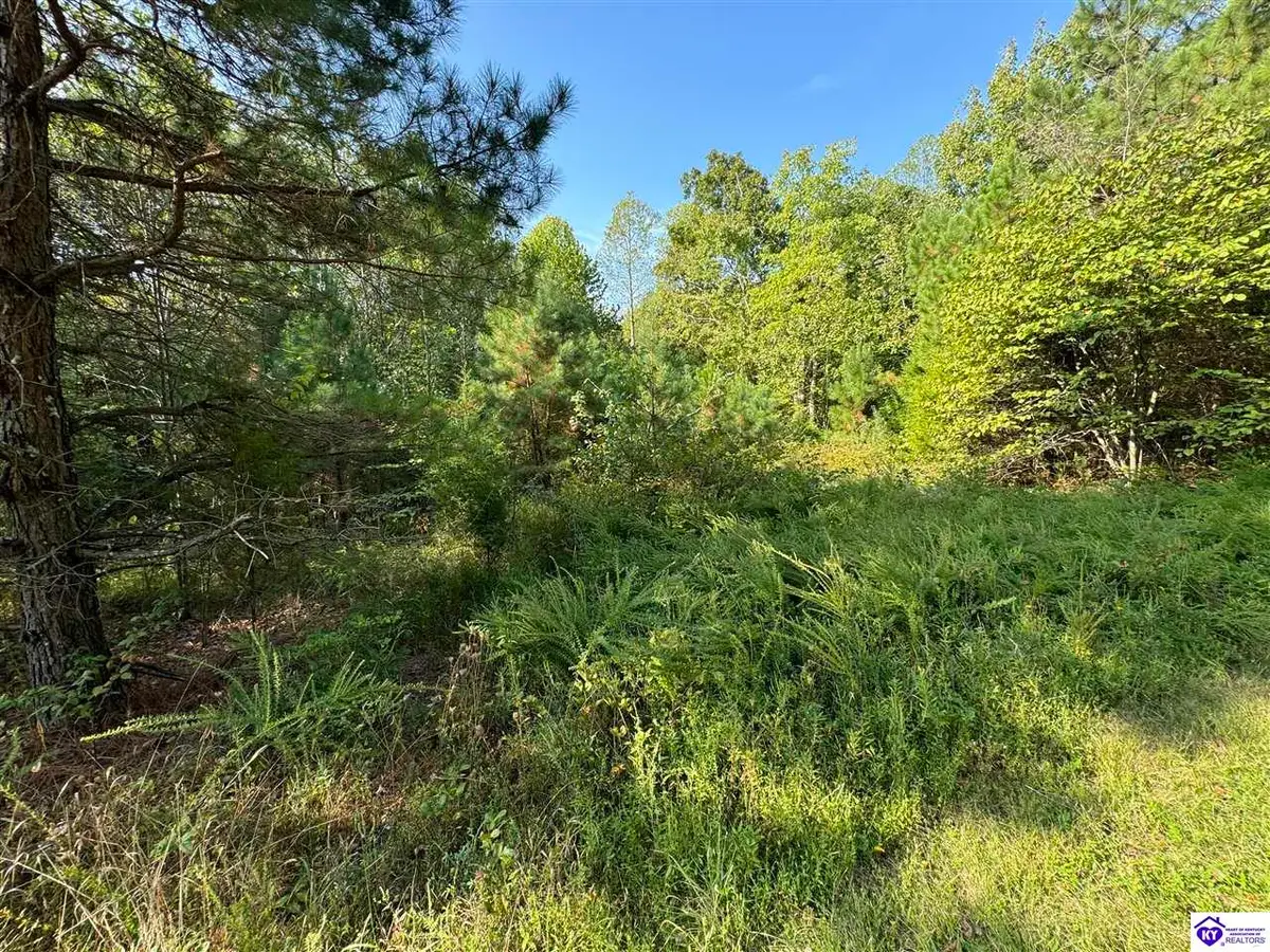0 DeWitt Road, Fordsville, KY 42343 - #1