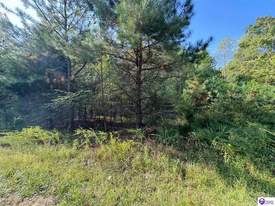 0 DeWitt Road, Fordsville, KY 42343 - #2