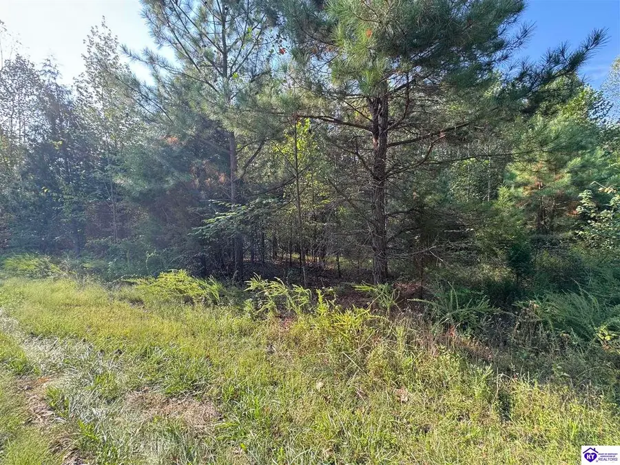 0 DeWitt Road, Fordsville, KY 42343 - #3