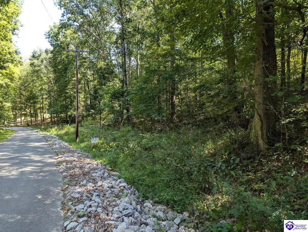 671 Holley Cave Drive, Mammoth Cave, KY 42259 - #1