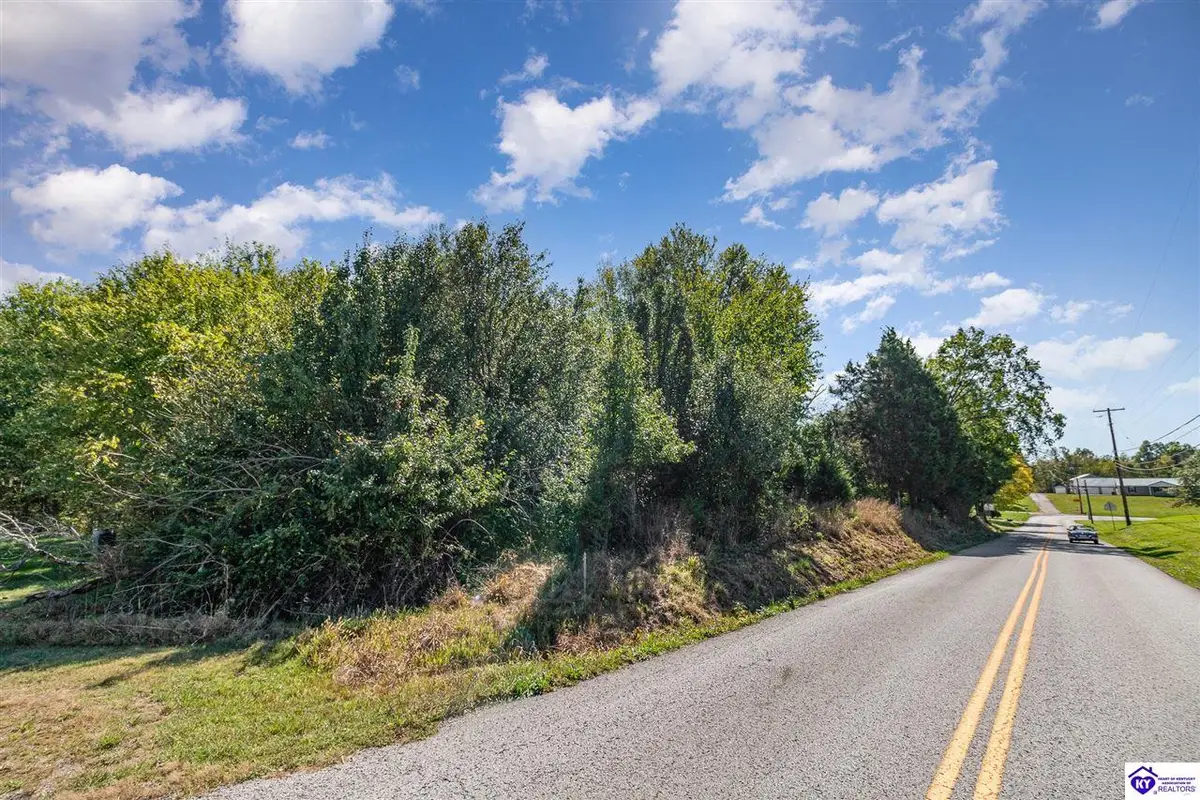 LOT 1 CW Acres Rineyville School Road, Rineyville, KY 40162 - #1