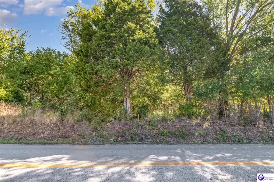 LOT 2 CW Acres Rineyville School Road, Rineyville, KY 40162 - #2