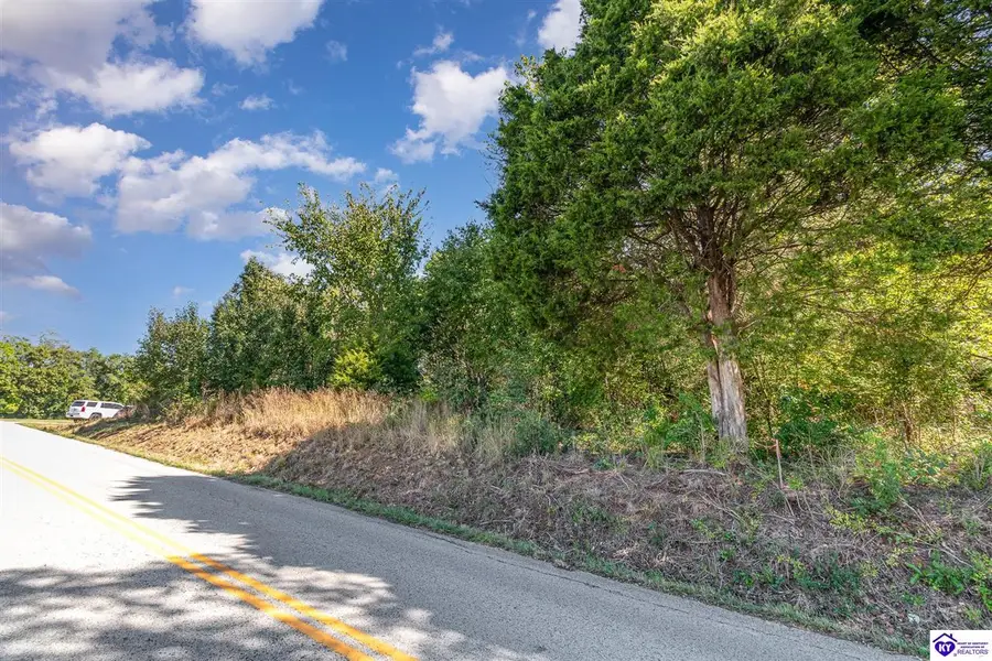 LOT 2 CW Acres Rineyville School Road, Rineyville, KY 40162 - #3