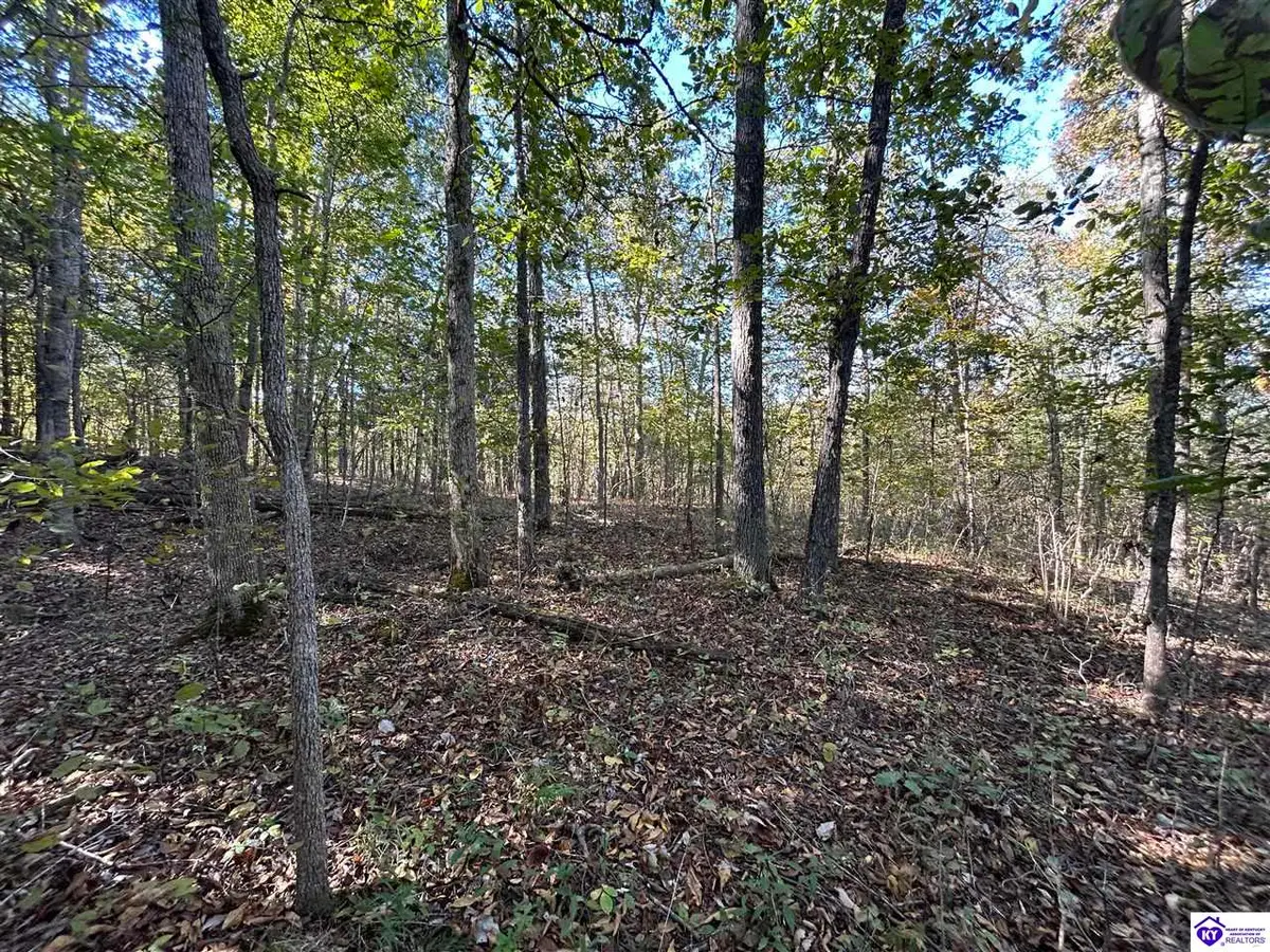 579 Hudson Fairfield Road, Hudson, KY 40145 - #1