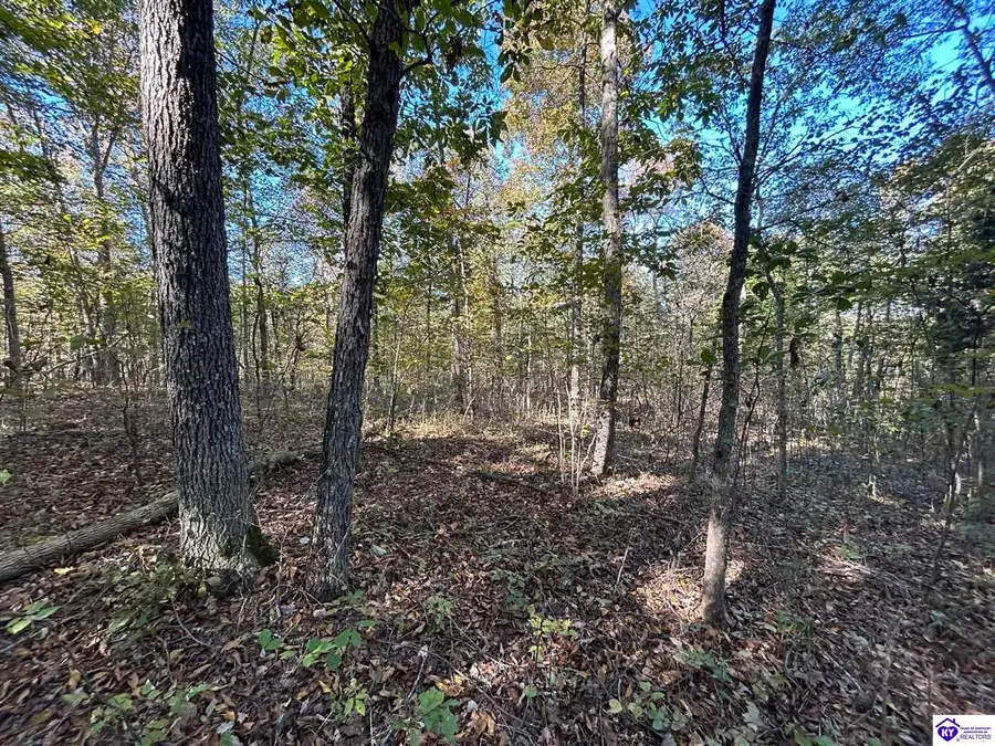 579 Hudson Fairfield Road, Hudson, KY 40145 - #2
