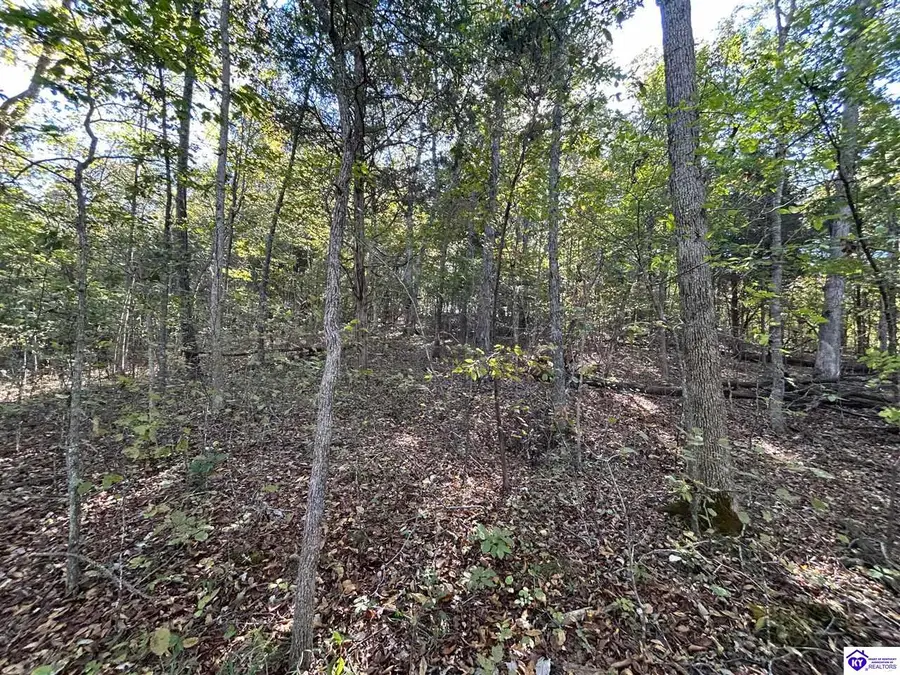 579 Hudson Fairfield Road, Hudson, KY 40145 - #3