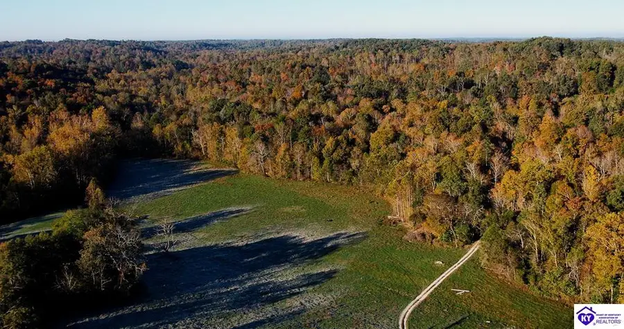 Roy Road, Eastview, KY 42732 - #2