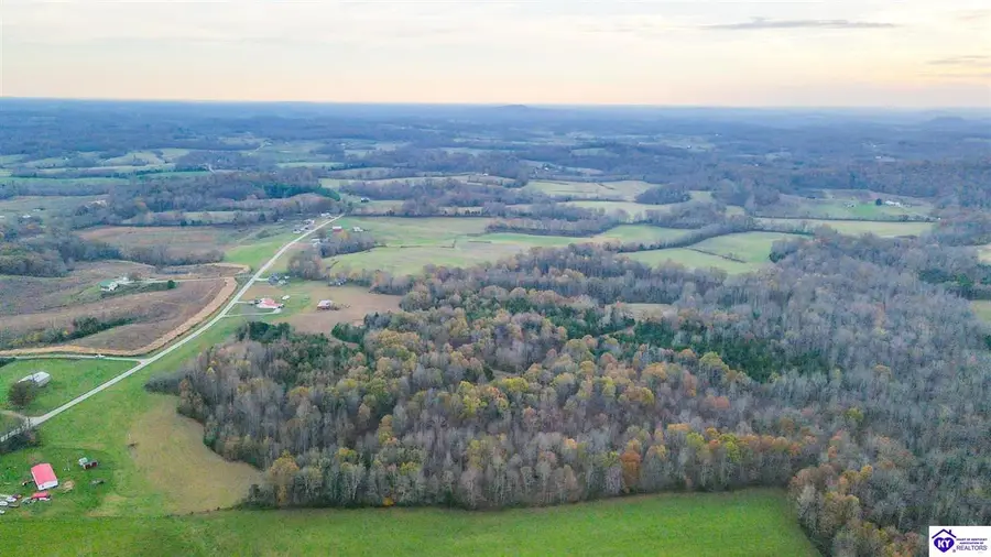 31.3 Highway 566, Magnolia, KY 42757 - #2