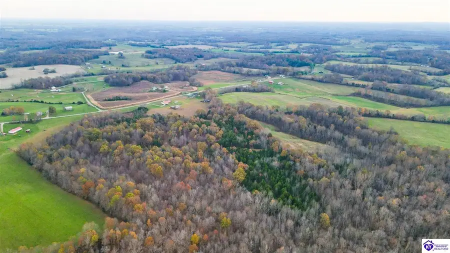 31.3 Highway 566, Magnolia, KY 42757 - #3