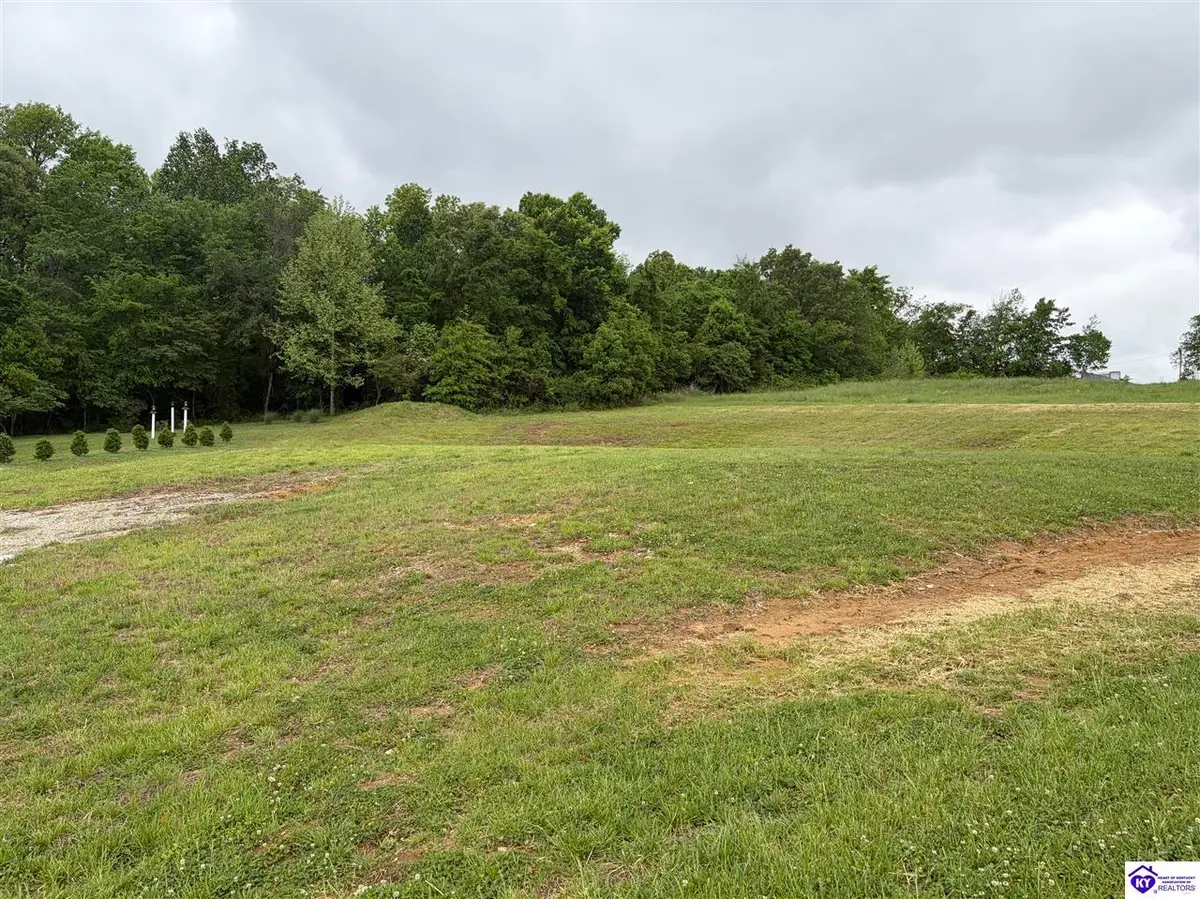 Lot 2G Fountain View Drive, Leitchfield, KY 42754 - #1