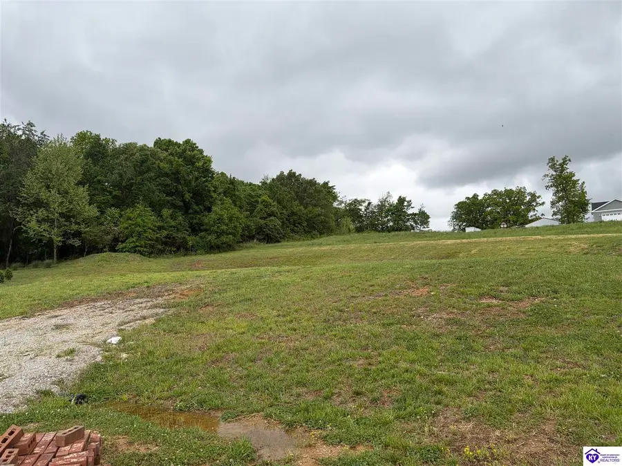 Lot 2G Fountain View Drive, Leitchfield, KY 42754 - #2
