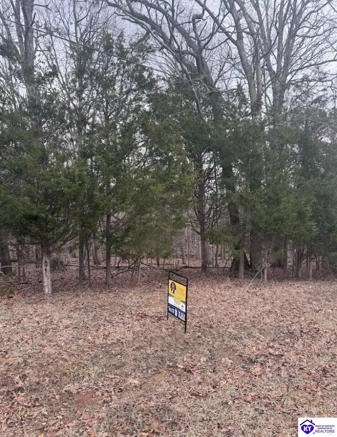 Lot 42 Redwing Road, Brandenburg, KY 40108 - #2