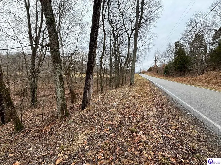 613 New State Road, Webster, KY 40176 - #3