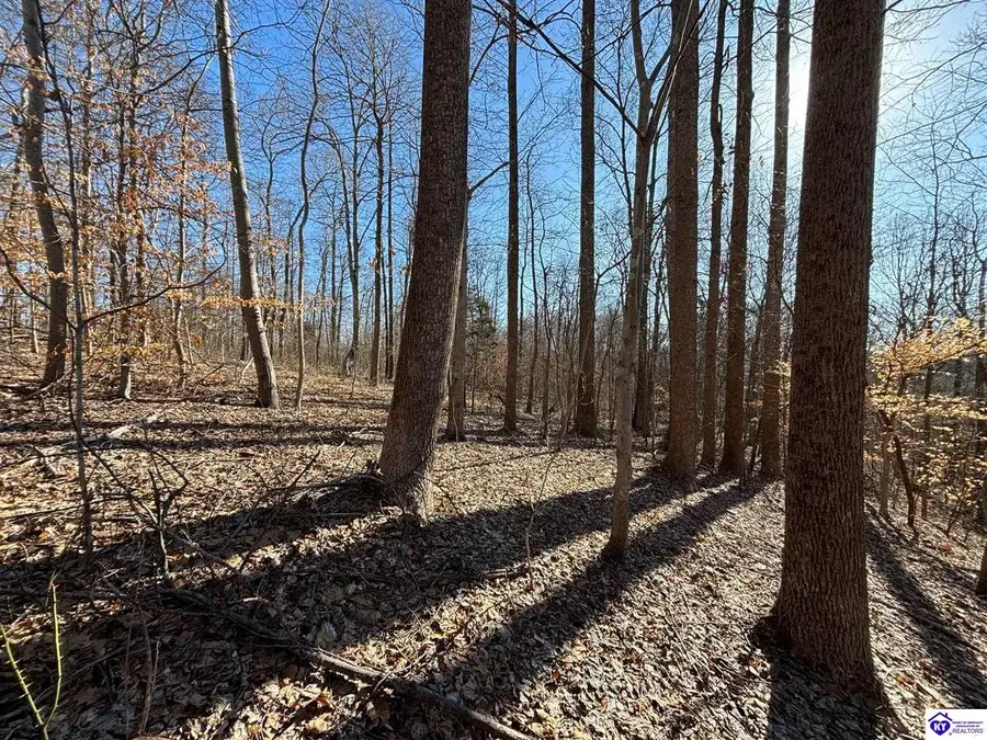 627 New State Road, Webster, KY 40176 - #2