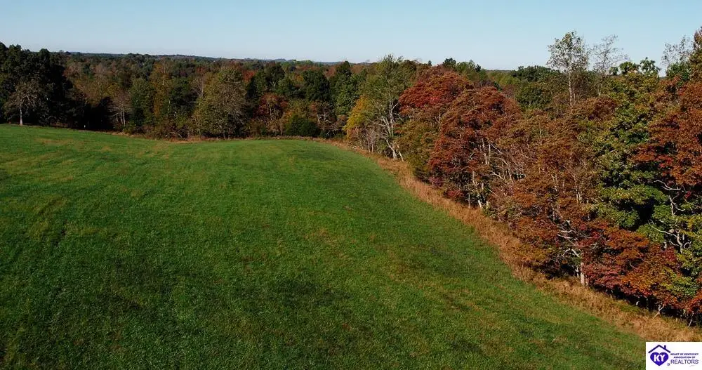 TRACT 2 Roy Road, Eastview, KY 42732 - #1