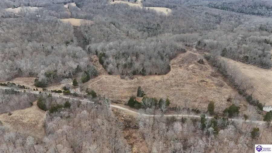 54 Wand Cemetery Road, Bowling Green, KY 42101 - #2
