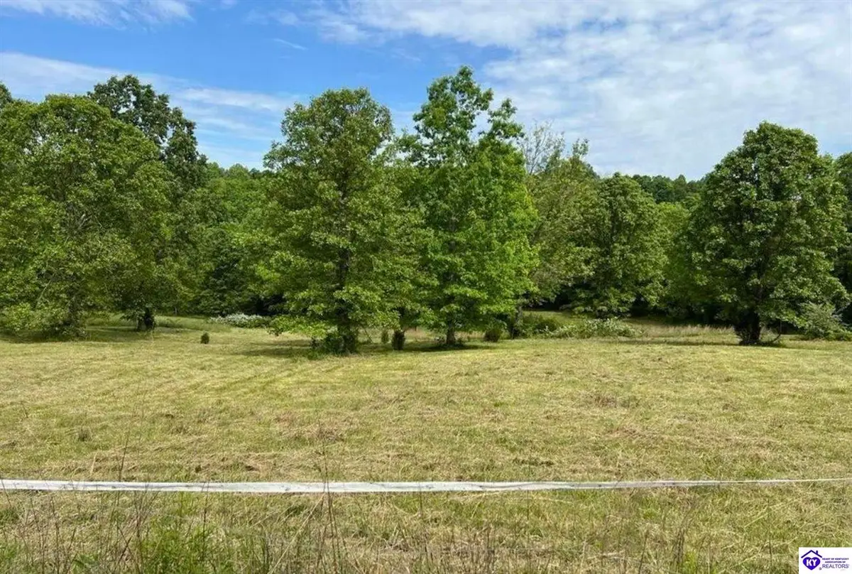 Lot 1 Constantine Road, Cecilia, KY 42724 - #1