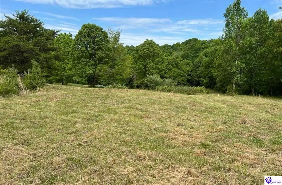 Lot 1 Constantine Road, Cecilia, KY 42724 - #2