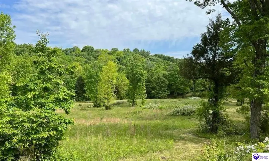 Lot 2 Constantine Road, Cecilia, KY 42724 - #2